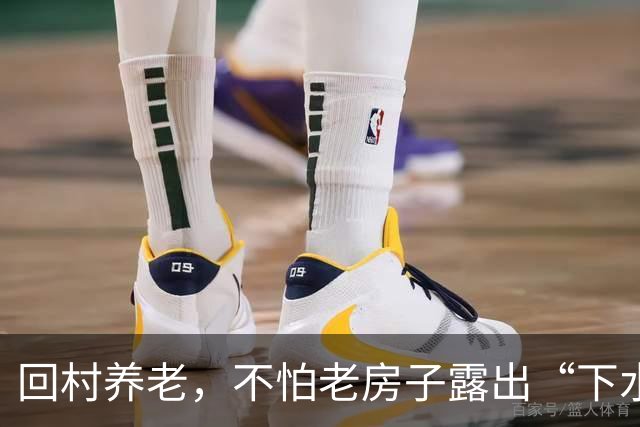 回村养老，不怕老房子露出“下水道”！